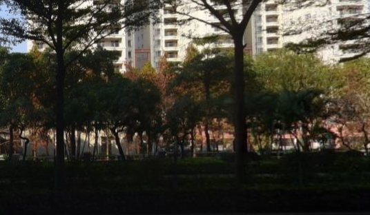 金沙湾休闲会所（禅城店） - 星际高球联盟-中国精英人士高尔夫旅游度假实景