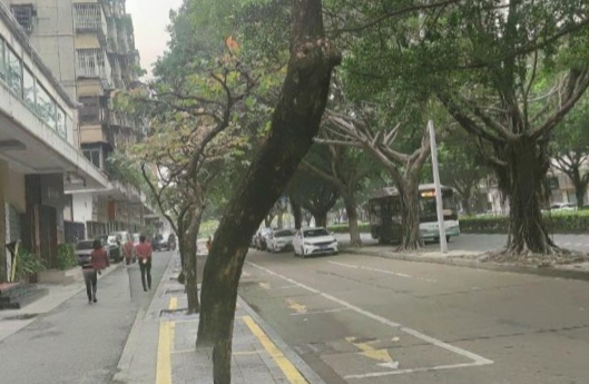 珑悦沐足 - 星际高球联盟-中国精英人士高尔夫旅游度假实景