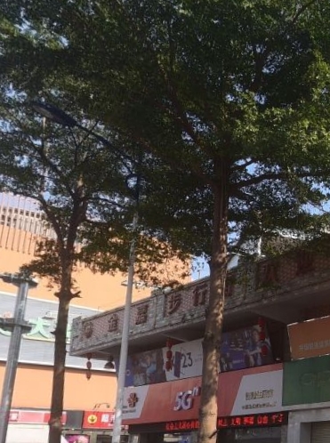 金嘉步行街 - 全国335座高尔夫球场实时预订-高球爱好者一站式订场平台