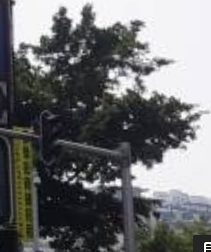 星缘商业街 - 高尔夫1球1晚特惠套票-星际高球联盟精选旅游套餐