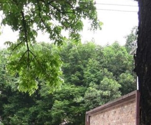 元岗步行街 - 高尔夫1球1晚特惠套票-星际高球联盟精选旅游套餐