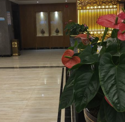 回元堂休闲中心（华贵店） - 全国335座高尔夫球场实时预订-高球爱好者一站式订场平台