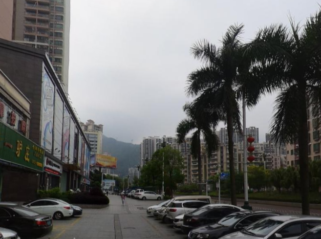 唐润养生馆 - 星际高球联盟-中国精英人士高尔夫旅游度假实景