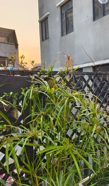 藏古唐卡艺术馆 - 全国335座高尔夫球场实时预订-高球爱好者一站式订场平台
