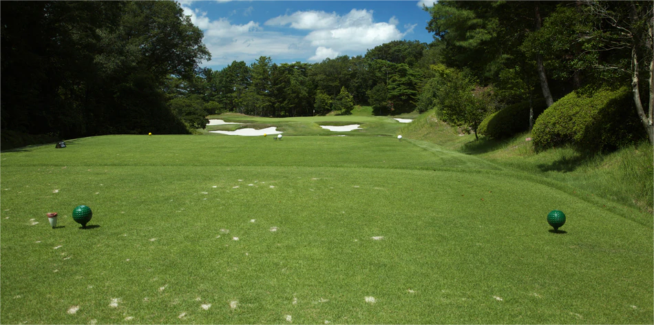 日本小萱樱桃/名四乡村/富士·3球4晚 - undefined