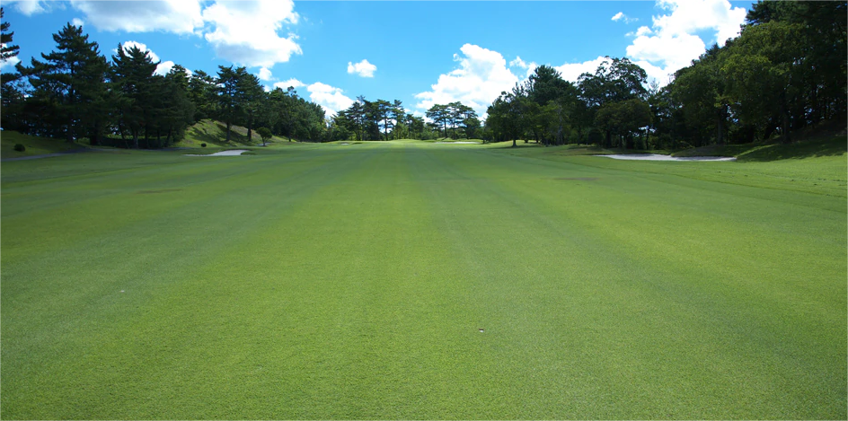 日本小萱樱桃/名四乡村/富士·3球4晚 - 全国335座高尔夫球场实时预订-高球爱好者一站式订场平台