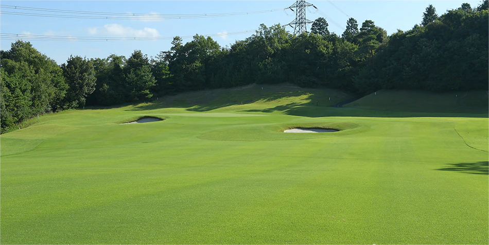 日本小萱樱桃/名四乡村/富士·3球4晚 - 深圳观澜湖高尔夫订场服务-广东专业高尔夫预订平台