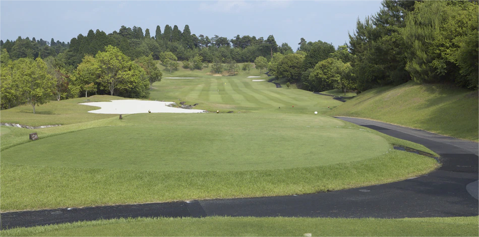 日本小萱樱桃/名四乡村/富士·3球4晚 - undefined