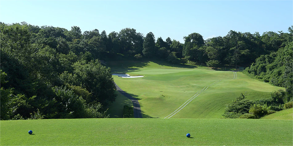 日本小萱樱桃/名四乡村/富士·3球4晚 - 海口观澜湖高尔夫球场预订-海南高尔夫旅游攻略推荐