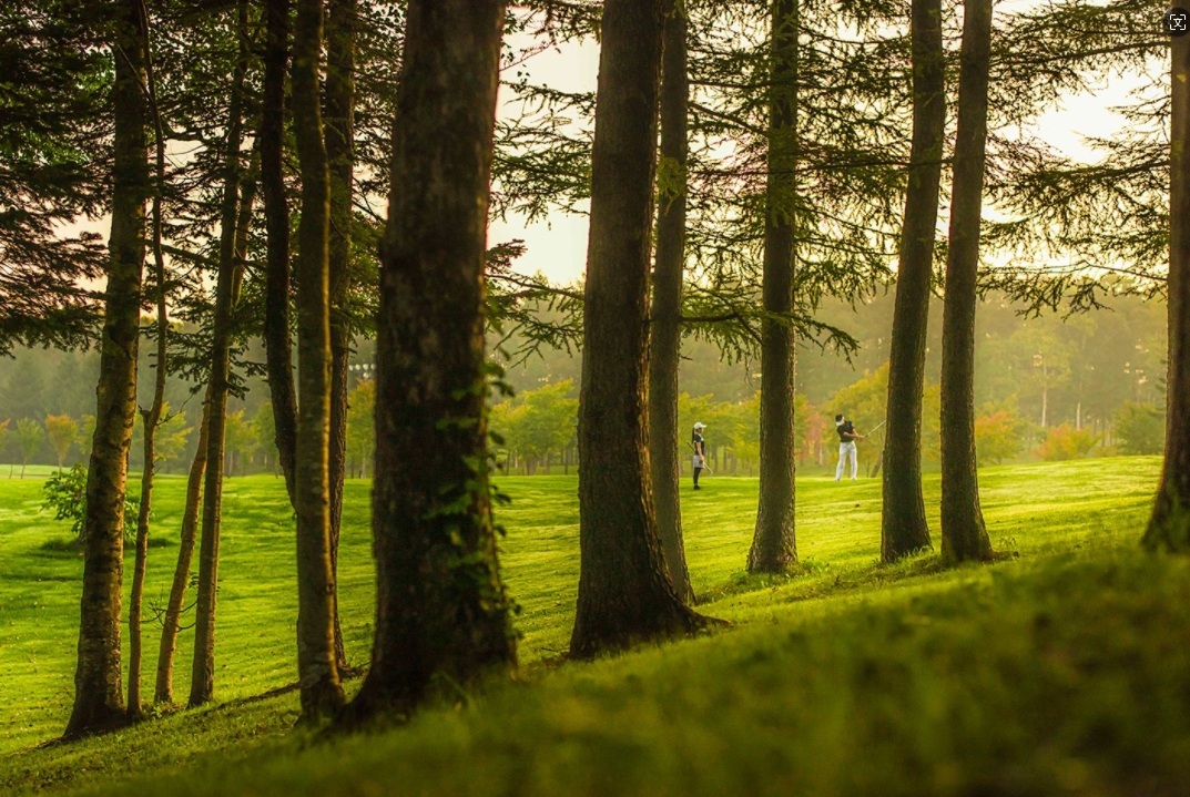 日本北海道留寿都·3球5晚 - 深圳观澜湖高尔夫订场服务-广东专业高尔夫预订平台