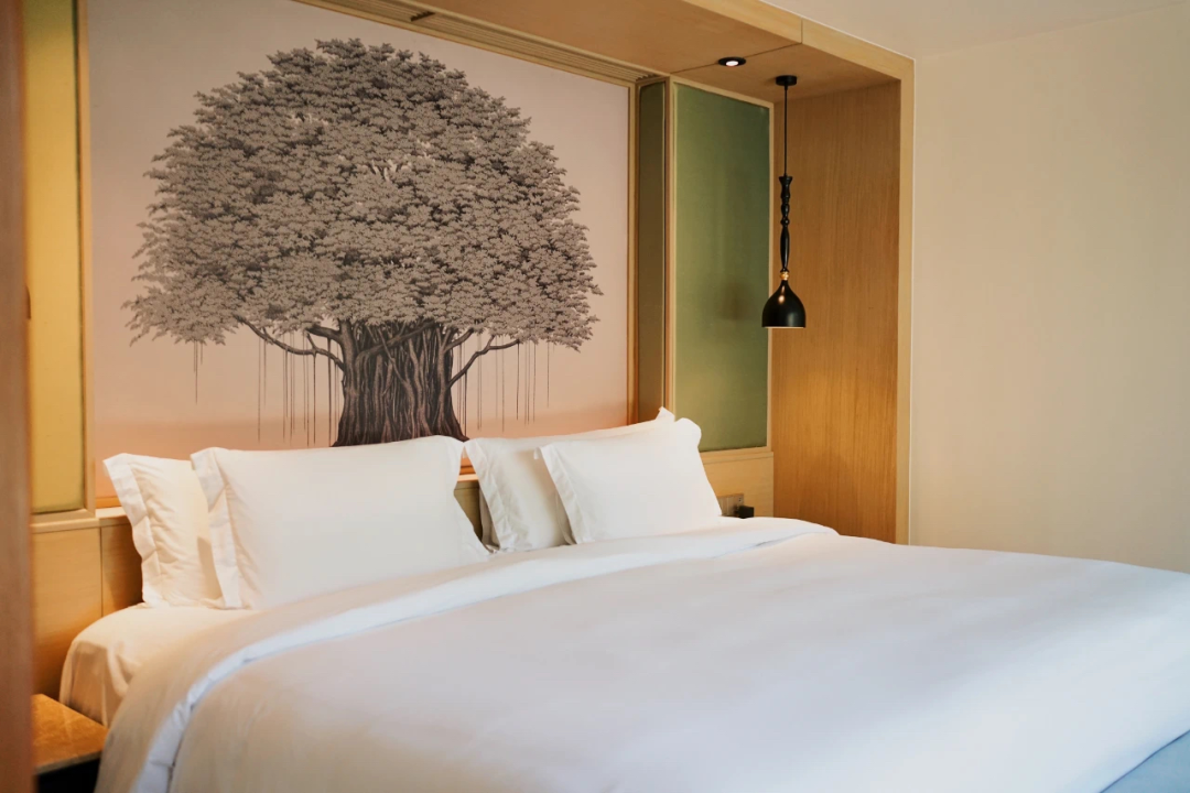 泰国普吉岛棕榈湖/红山/观澜湖·3球4晚 - undefined