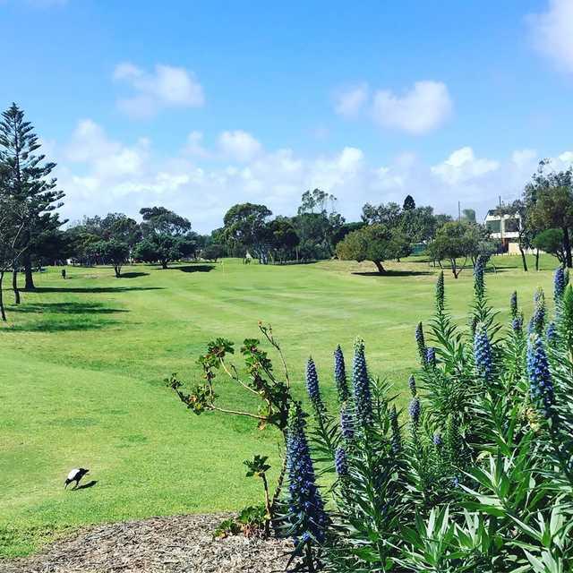 Glanville Golf Course