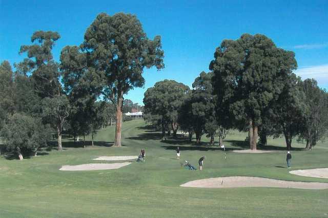 North Ryde Golf Club