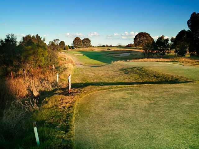 Curlewis Golf Club