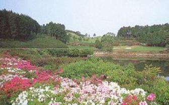 大村湾高尔夫球会(新场)