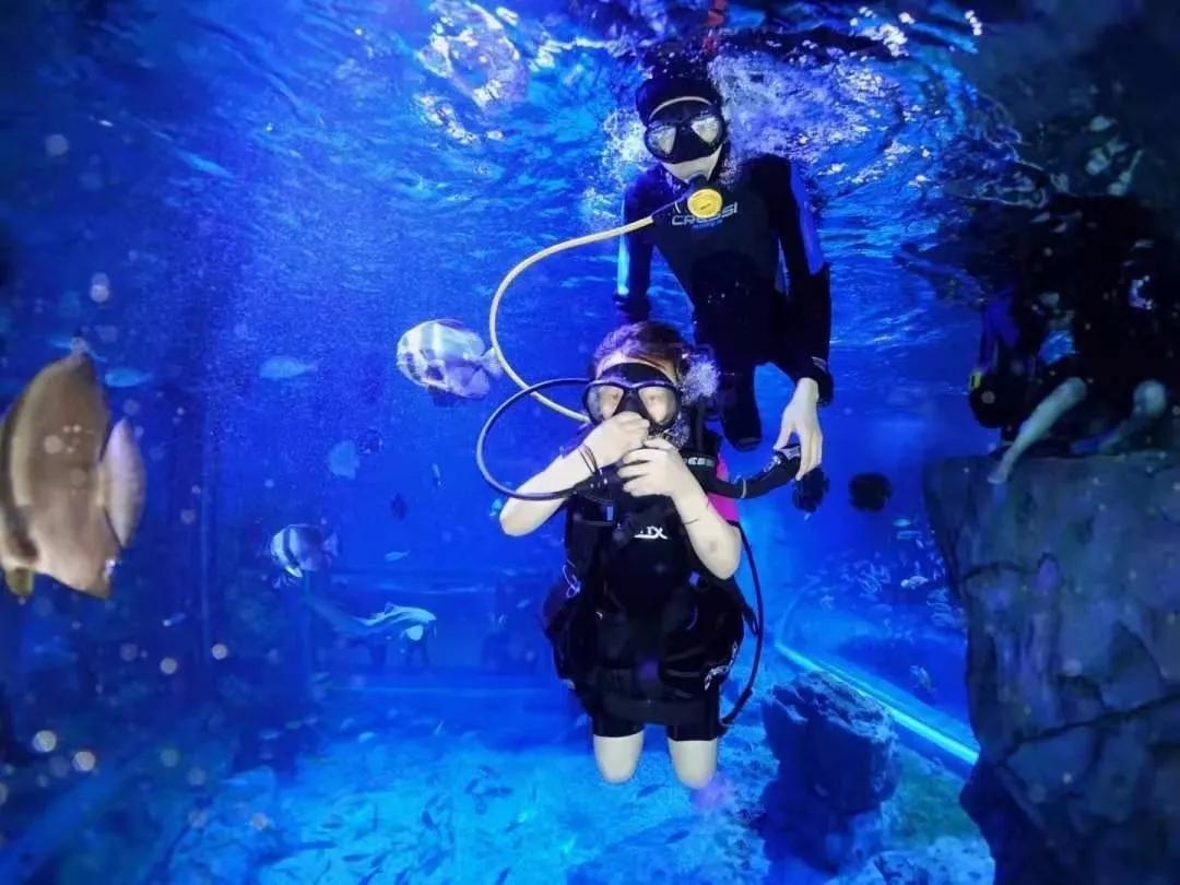 兰州海洋公园 - 星际高球联盟-中国精英人士高尔夫旅游度假实景