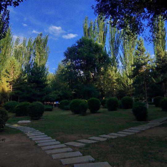 青山公园 - 星际高球联盟-中国精英人士高尔夫旅游度假实景