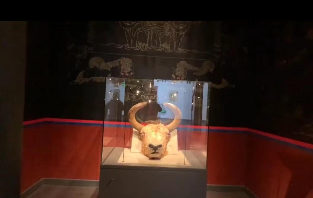 牦牛博物馆 - 星际高球联盟-中国精英人士高尔夫旅游度假实景