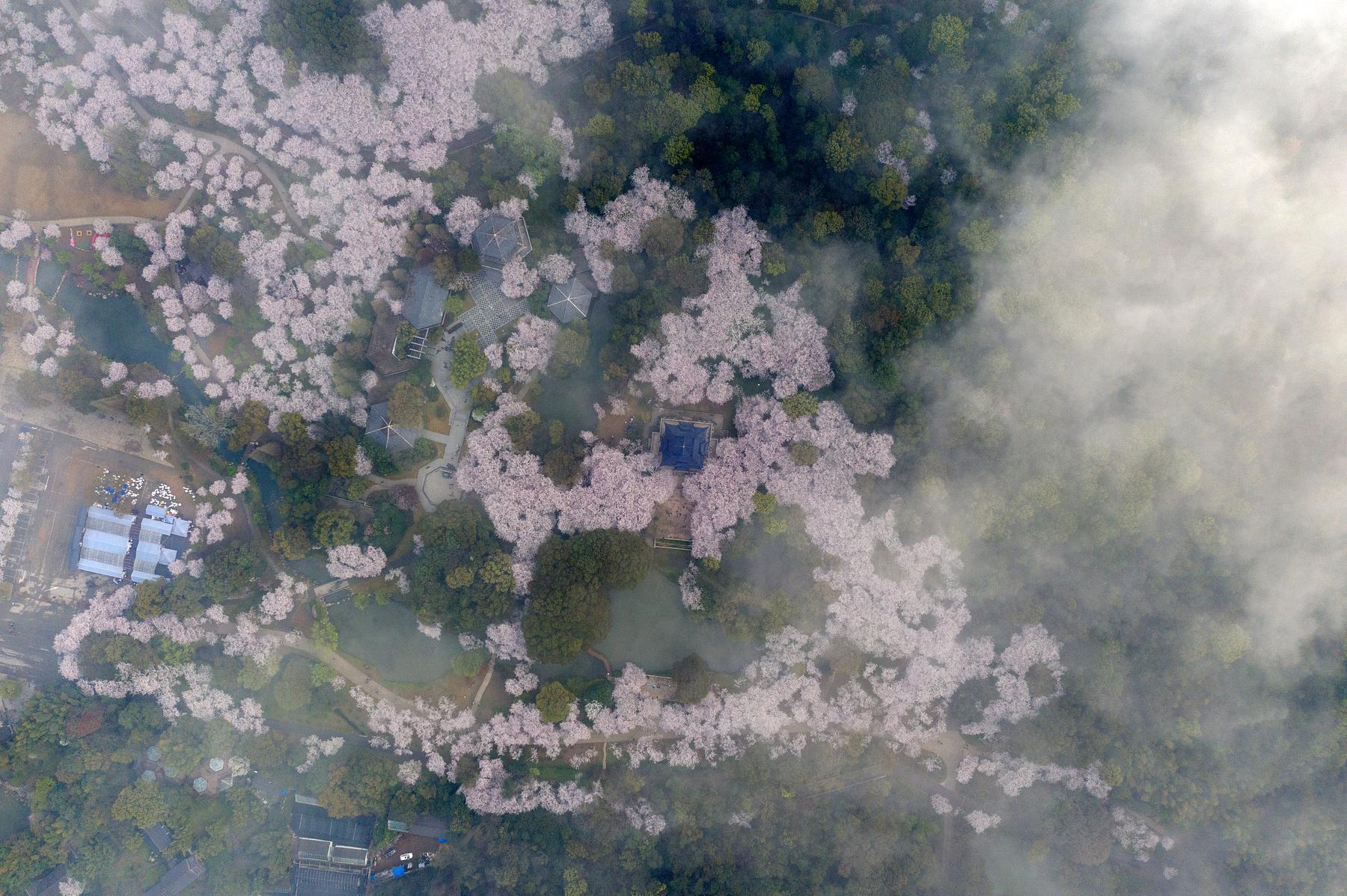 青龙湖公园 - 星际高球联盟-中国精英人士高尔夫旅游度假实景