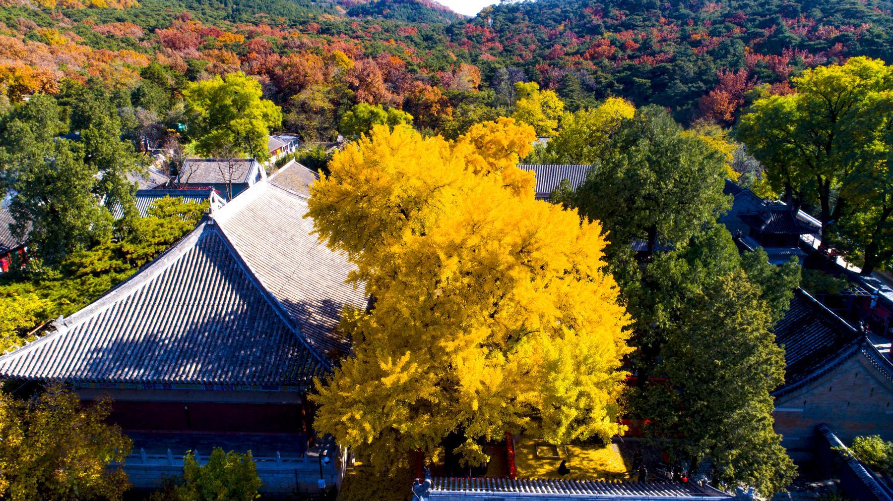 红螺寺 - 星际高球联盟-中国精英人士高尔夫旅游度假实景