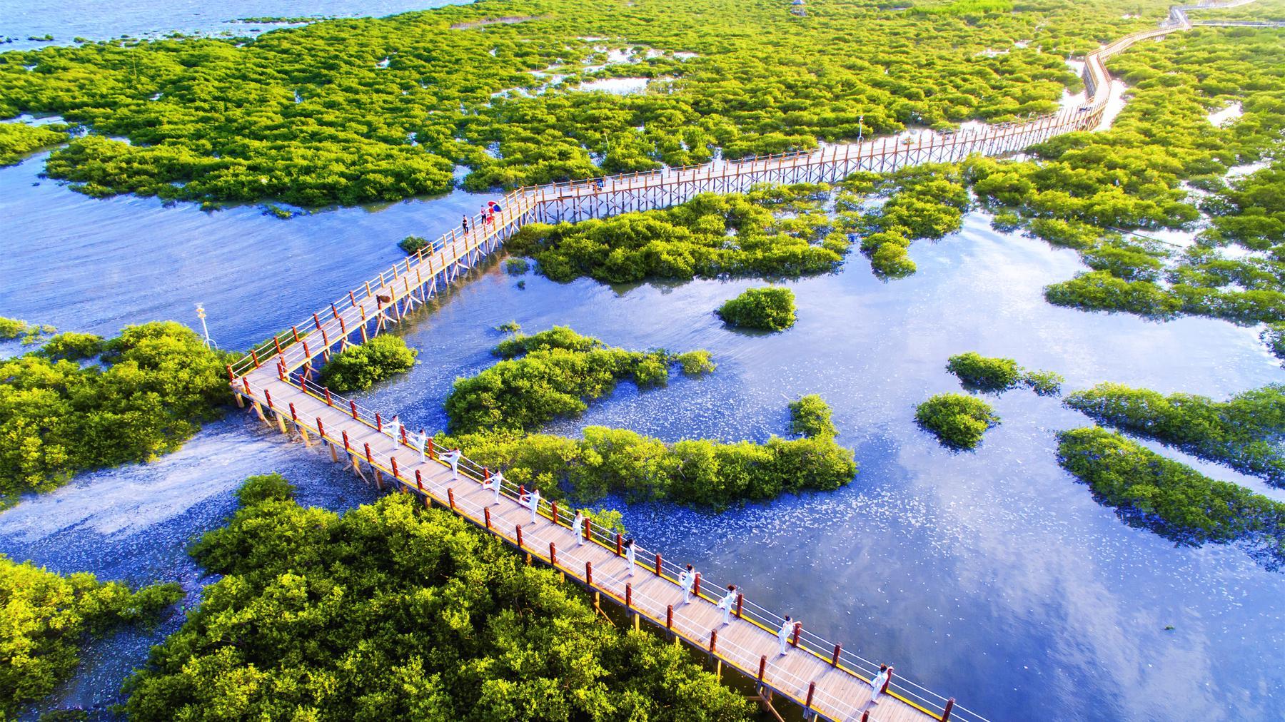 北海金海湾红树林生态旅游区 - 星际高球联盟-中国精英人士高尔夫旅游度假实景