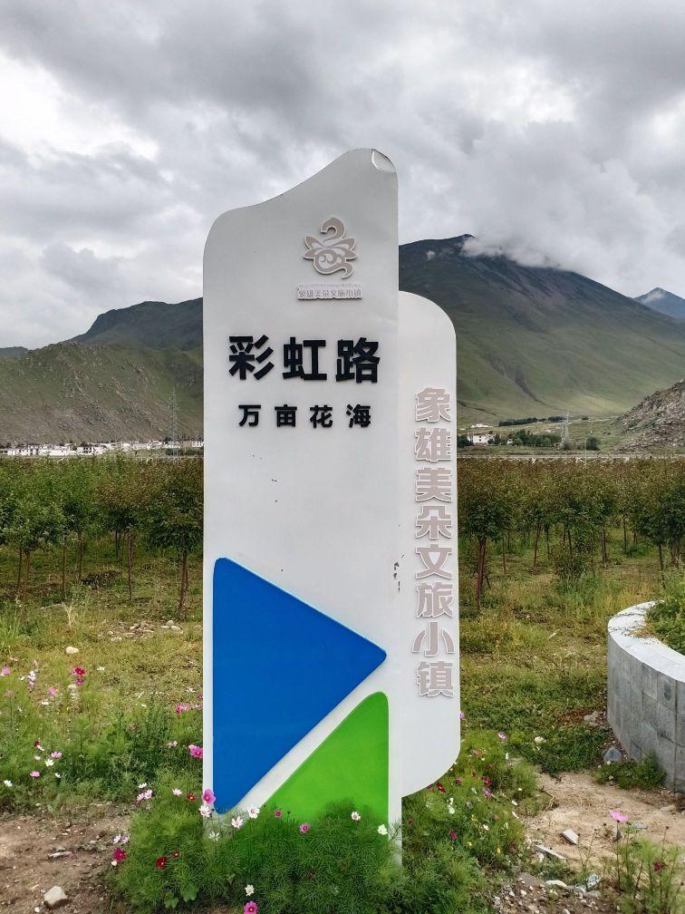 万亩花海 - 星际高球联盟-中国精英人士高尔夫旅游度假实景
