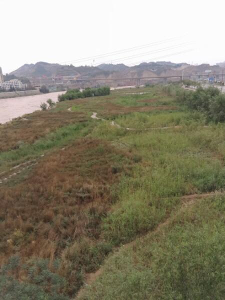 滩尖子湿地公园 - 星际高球联盟-中国精英人士高尔夫旅游度假实景