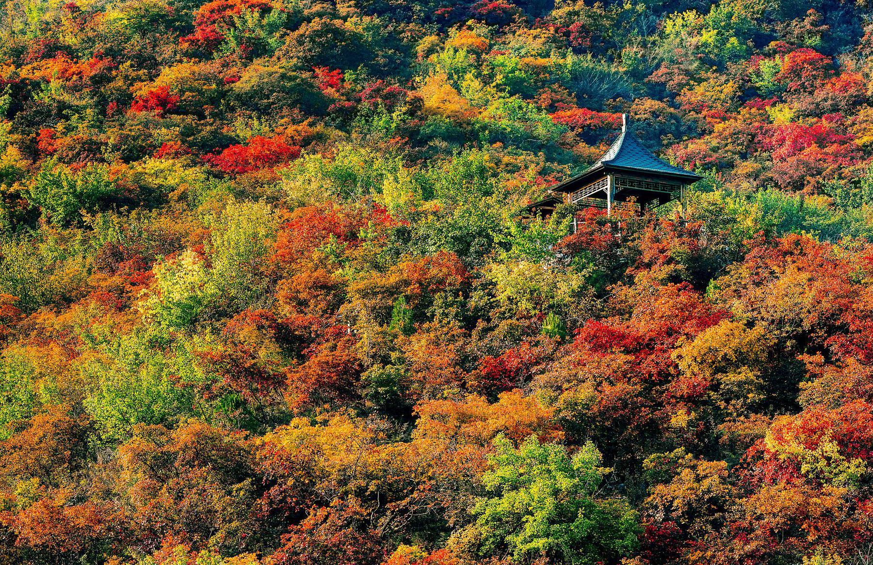 周口店坡峰岭风景区 - 星际高球联盟-中国精英人士高尔夫旅游度假实景