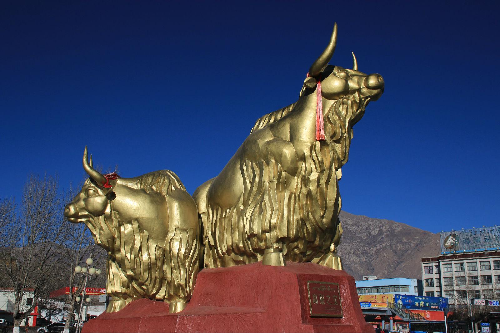 铜牛公园 - 星际高球联盟-中国精英人士高尔夫旅游度假实景