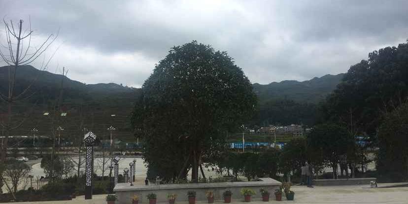 紫云公园 - 星际高球联盟-中国精英人士高尔夫旅游度假实景