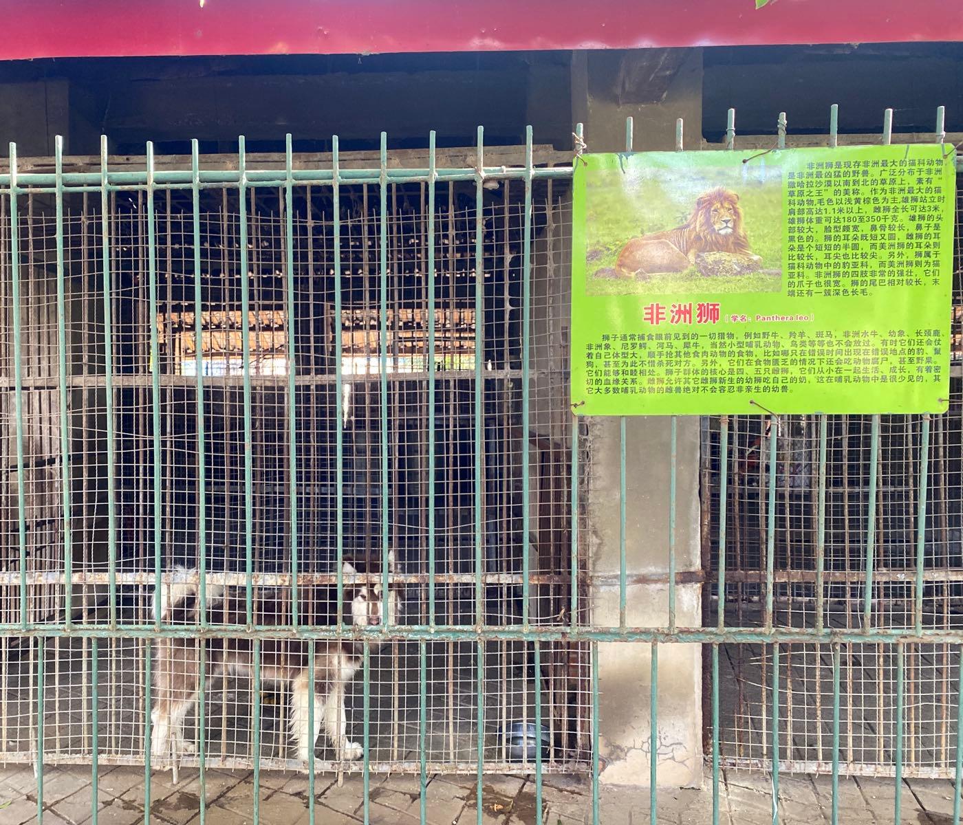 西昌市袁家山动物园 - 星际高球联盟-中国精英人士高尔夫旅游度假实景