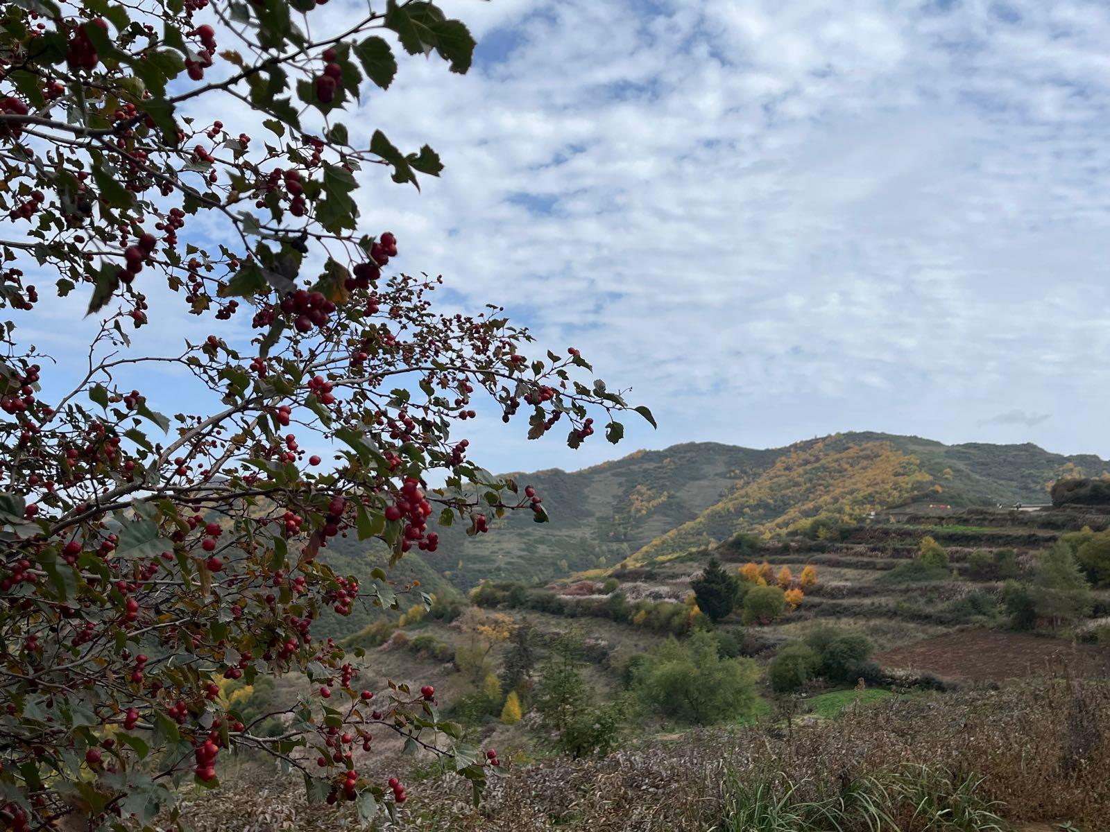 云顶山风景区 - 星际高球联盟-中国精英人士高尔夫旅游度假实景