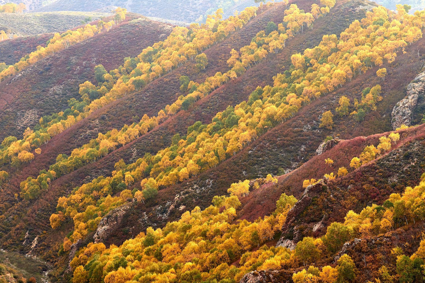 马鞍山 - 星际高球联盟-中国精英人士高尔夫旅游度假实景