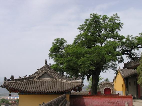 金顶寺 - 星际高球联盟-中国精英人士高尔夫旅游度假实景