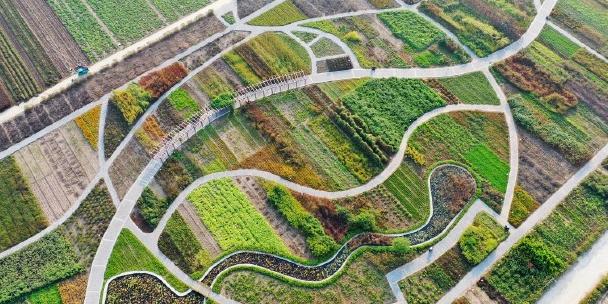 中药都药博园 - 星际高球联盟-中国精英人士高尔夫旅游度假实景