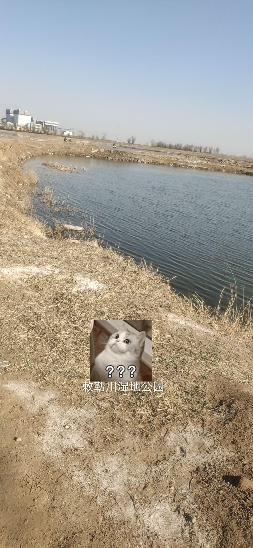 敕勒川湿地公园 - 星际高球联盟-中国精英人士高尔夫旅游度假实景