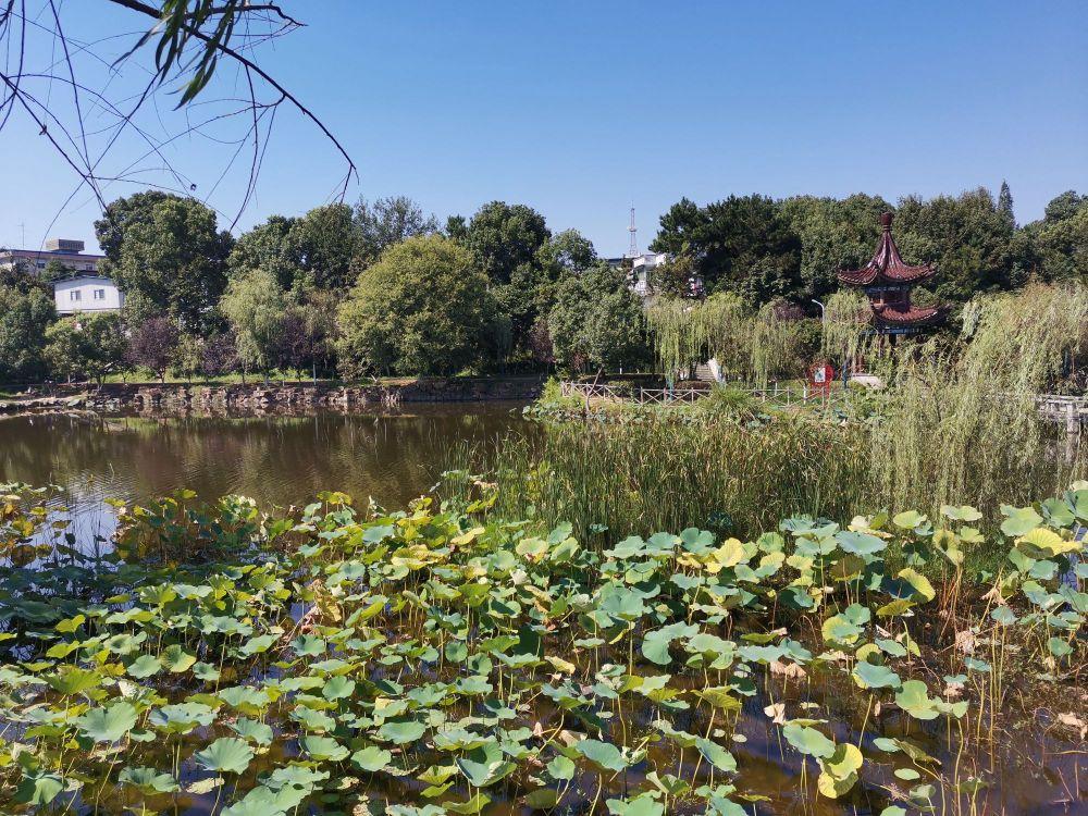 府前公园 - 星际高球联盟-中国精英人士高尔夫旅游度假实景