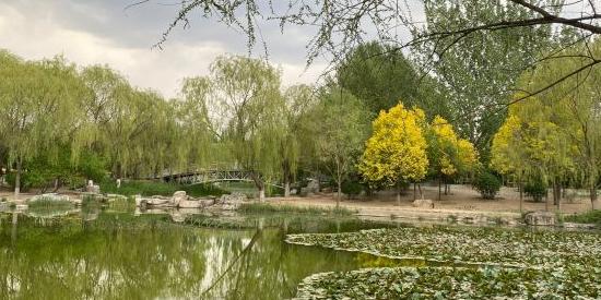 鹿园 - 星际高球联盟-中国精英人士高尔夫旅游度假实景
