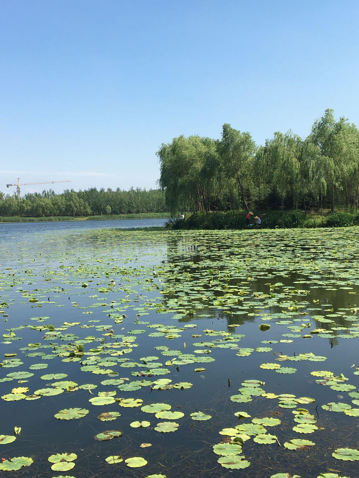 葛西河生态走廊 - 星际高球联盟-中国精英人士高尔夫旅游度假实景