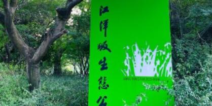江洋畈生态公园 - 星际高球联盟-中国精英人士高尔夫旅游度假实景