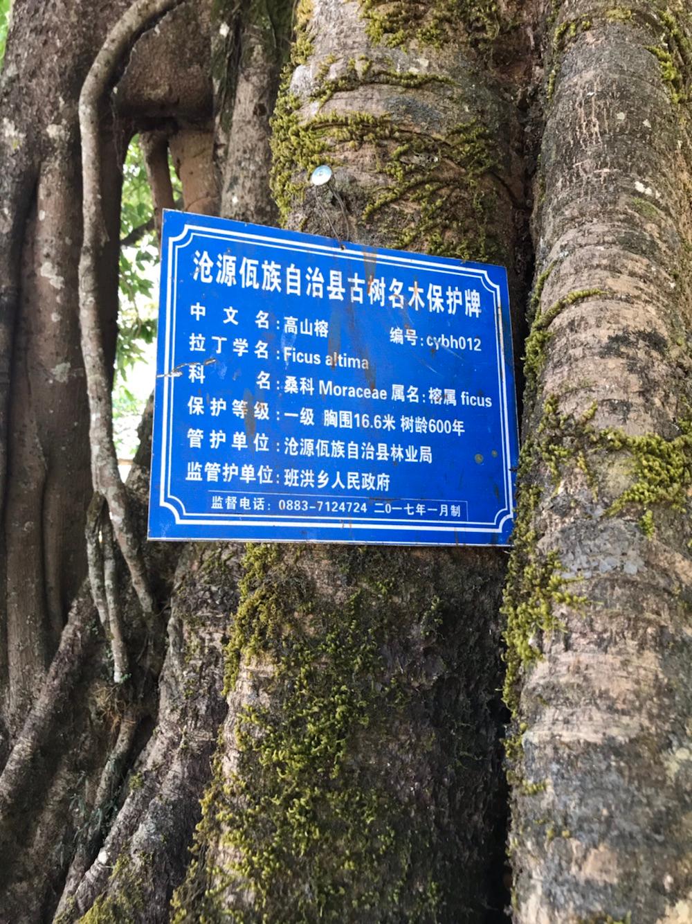 班洪抗英遗址碑 - 星际高球联盟-中国精英人士高尔夫旅游度假实景