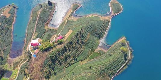六安茶谷主题公园 - 星际高球联盟-中国精英人士高尔夫旅游度假实景