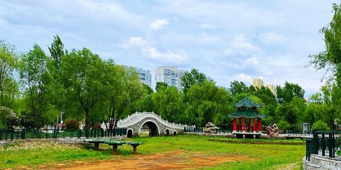新区中心公园 - 星际高球联盟-中国精英人士高尔夫旅游度假实景