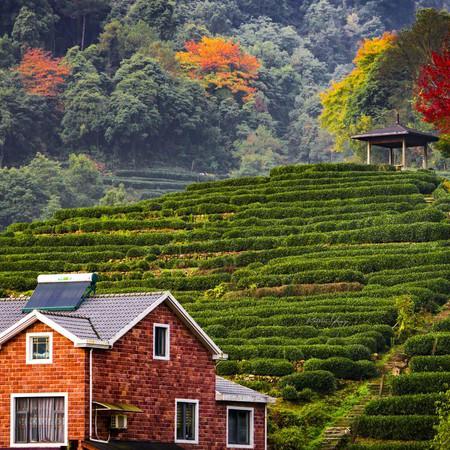 龙井村 - 星际高球联盟-中国精英人士高尔夫旅游度假实景