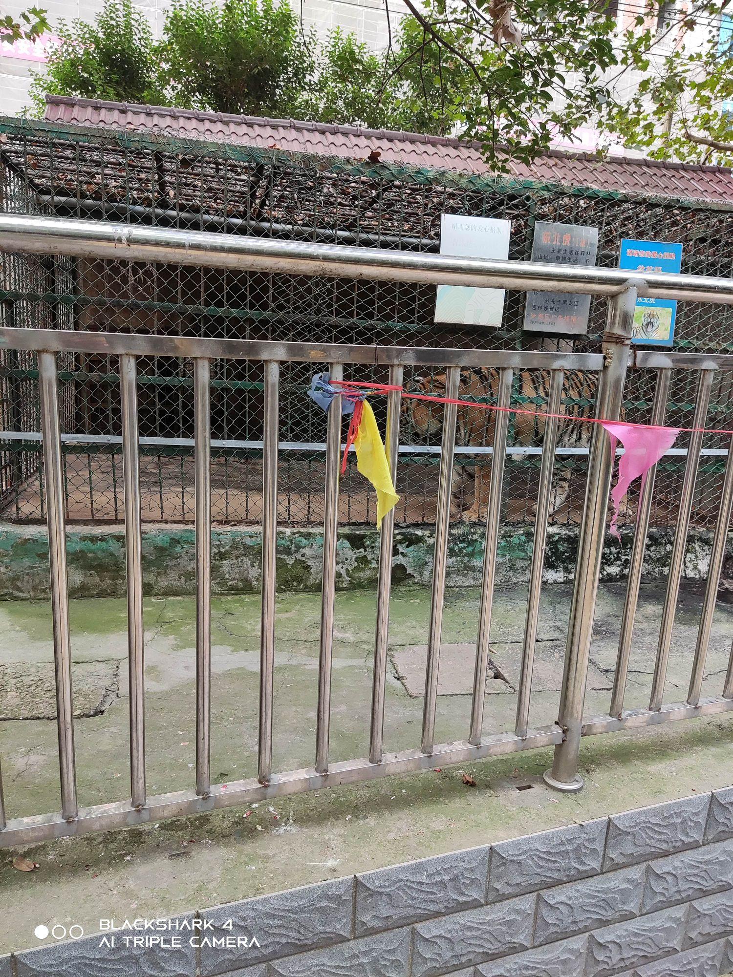 人民公园动物园 - 星际高球联盟-中国精英人士高尔夫旅游度假实景