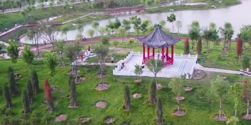 观津公园 - 星际高球联盟-中国精英人士高尔夫旅游度假实景