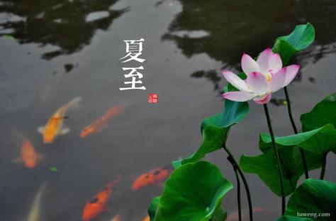 安徽省六安市金安区鲍墩子夏季荷花节风景区 - 星际高球联盟-中国精英人士高尔夫旅游度假实景