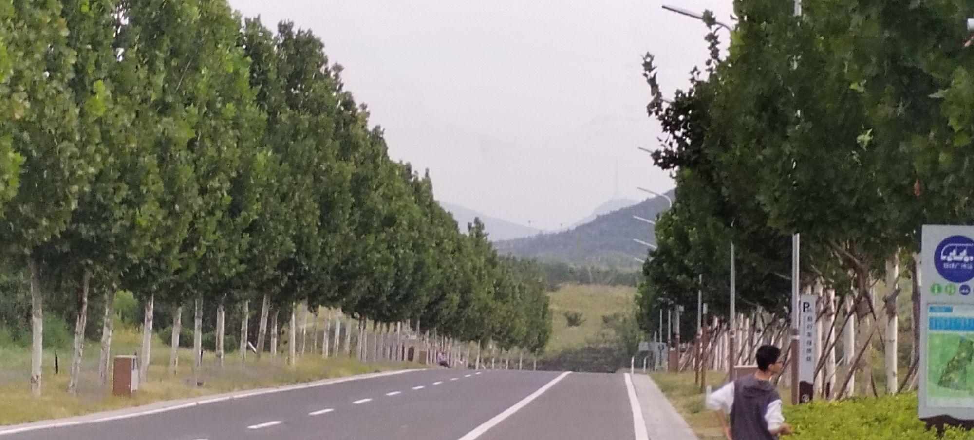 九龙山矿山修复公园 - 星际高球联盟-中国精英人士高尔夫旅游度假实景