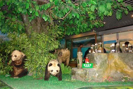 白水江动植物博物馆 - 星际高球联盟-中国精英人士高尔夫旅游度假实景