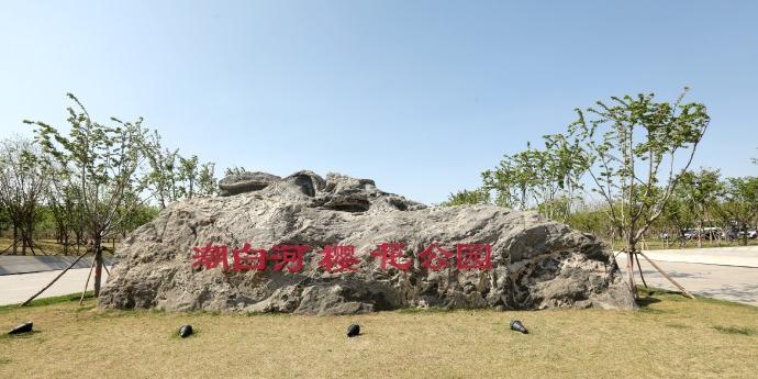 潮白河樱花公园 - 星际高球联盟-中国精英人士高尔夫旅游度假实景